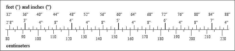 [a bar chart comparing imperial and metric dimensions]