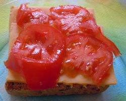 [bread with tomato]