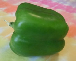 [green bell pepper]