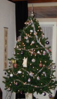 [Christmas tree]