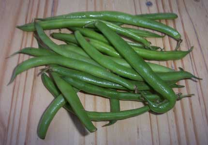 [French, green beans]