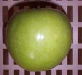 [one green apple]