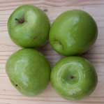[four green apples]