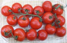 [red tomatoes]