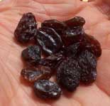 [a handful of raisins]