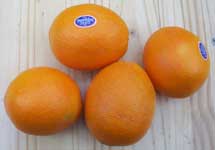 [oranges]
