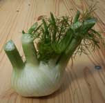[fennel, anise]