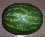[watermelon]