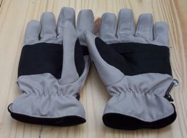 [gloves]