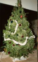 [a Christmas tree]