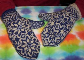 [woollen mitts]