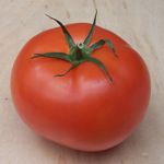 [tomato]